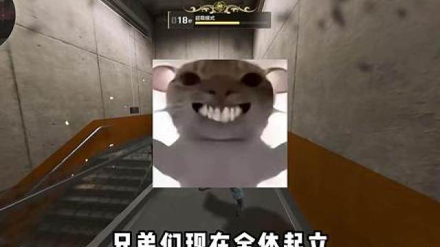 三角洲最高秒伤的刀！ 坠星者！ 三角洲最高秒伤的刀！ 坠星者！