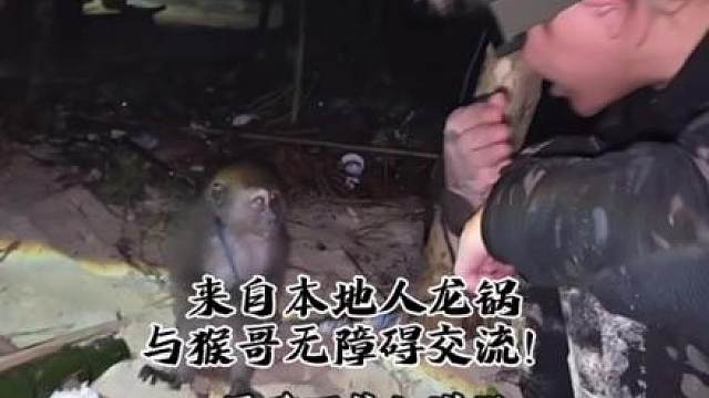 来自本地人 龙锅与猴哥 无障碍交流！