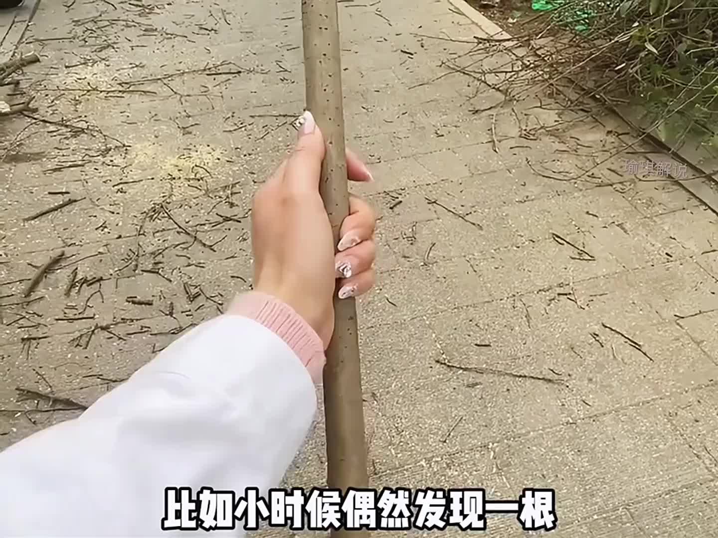 中国传统文化