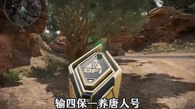 输四保一养唐人号，爆率直接起飞！