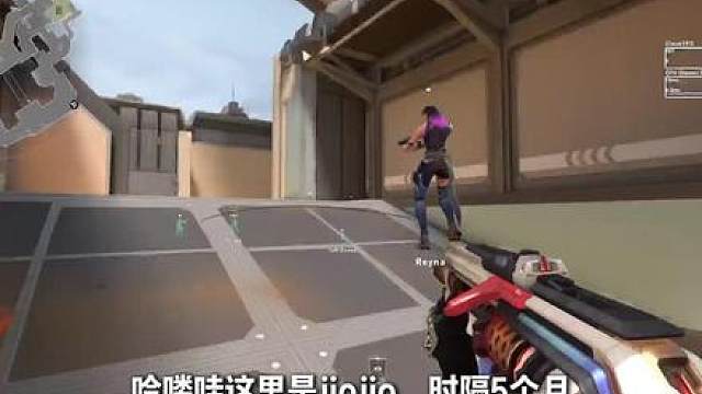 我喜欢银河子午线 皮肤这个东西非常主观