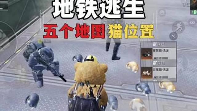 地铁逃生五个地图的所有猫详细位置