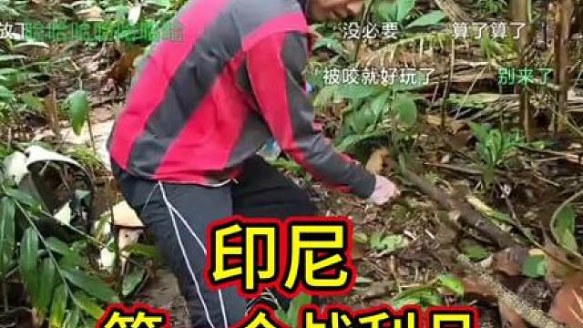 印尼第一个战利品来了！