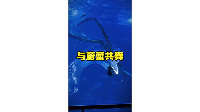 与蔚蓝共舞