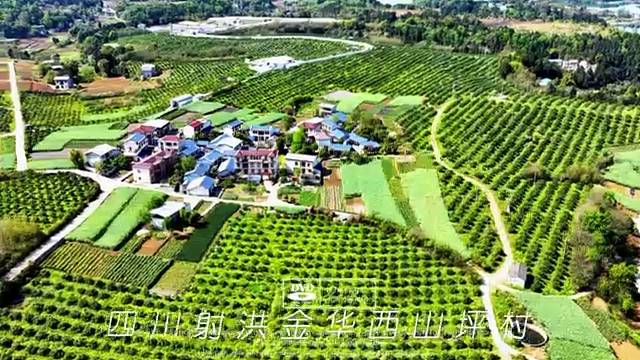 四川射洪金华西山坪