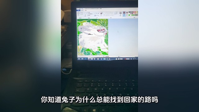 测试的电脑绘图