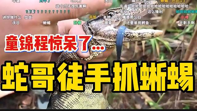 蛇哥徒手抓蜥蜴震惊童锦程，子圣最后的行为更是让众人惊呆！