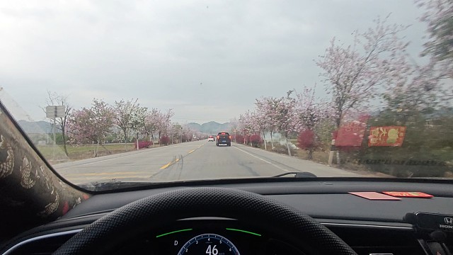 美好的事物要分享