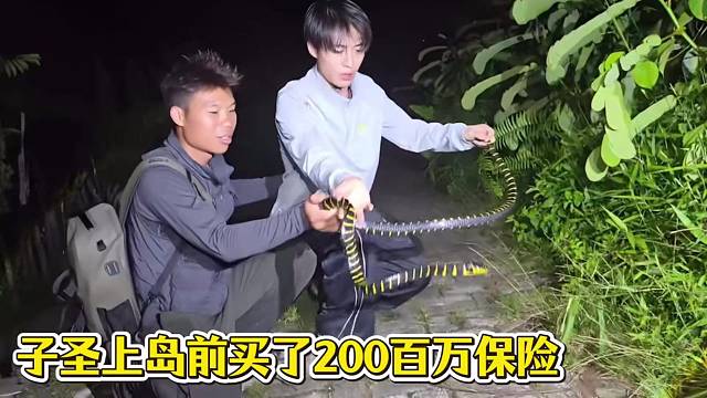 童锦程：子圣上岛前买了200百保险，是不是少了点！！