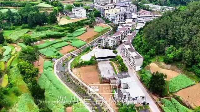四川三台秋林镇