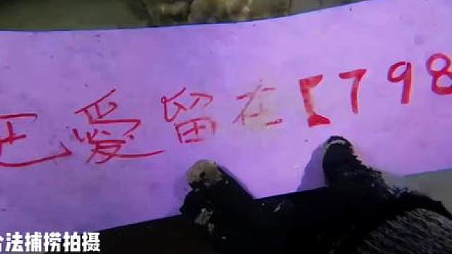 海底捞