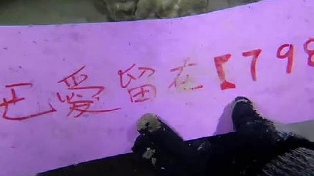 “给兄弟们整点硬货”