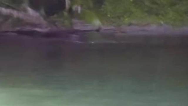 “找到鳄鱼，六子吓死了”