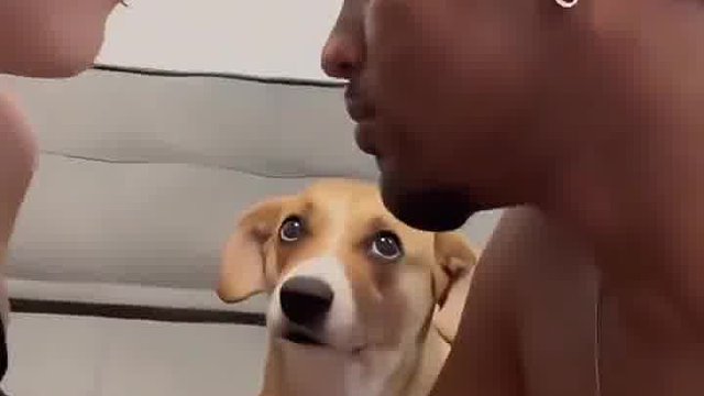 看得出单身狗也想要