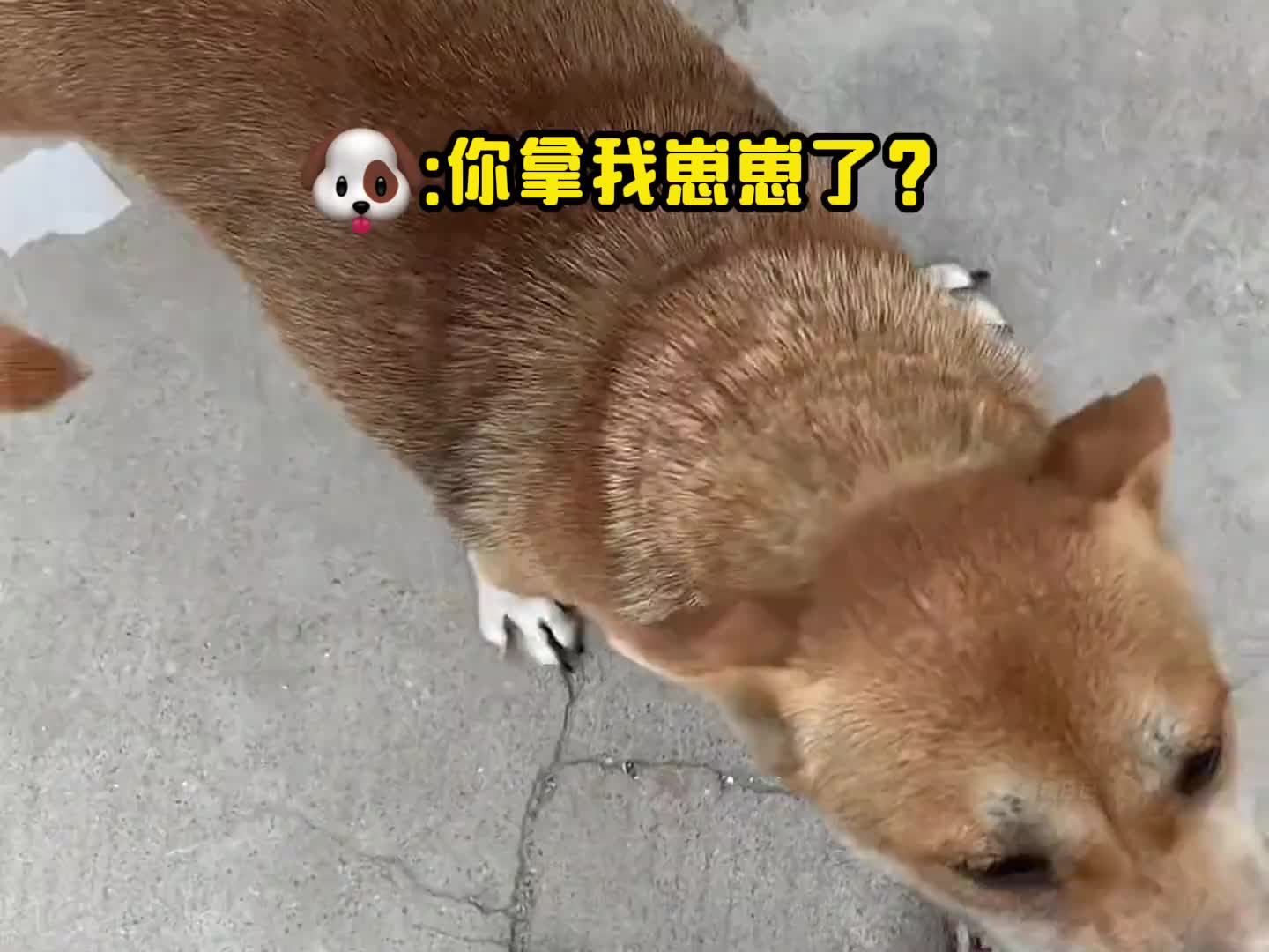 妈妈不让我跟你玩儿~