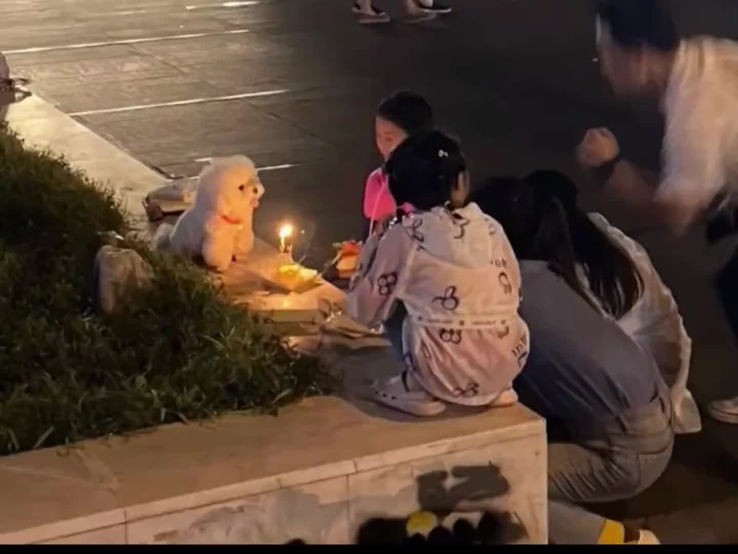 狗子的幸福瞬间
