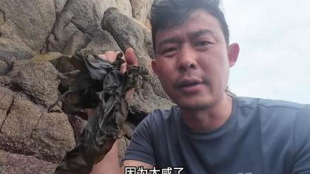 海岛生存三十天第二集： 小岛上蚊虫叮咬选择了合适的地点搭建临时庇护所，制作了一下收集淡水的工具，收集了很多淡水，遇到大雨生火又泡汤了