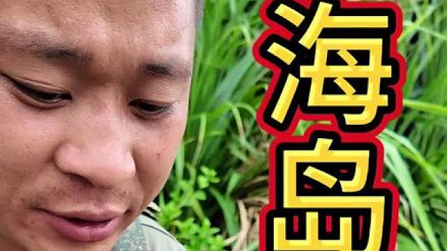 这个小伙在海岛求生，在海边捡到个奇奇怪怪的动物，还遇到了椰子树，钻木取火生起了火，还吃上了火烧洋葱，快来看看发生了什么吧