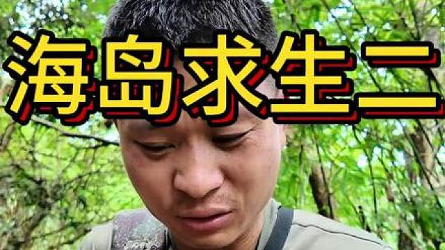 这个小伙在海岛上求生，搭建了庇护所，找到了水源，上山还吃上了荔枝菠萝蜜，快来看看发生了什么吧
