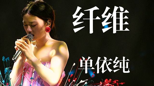 【4K直拍】单依纯《纤维》演唱会Live现场版 翻唱林忆莲经典歌曲 纯妹妹2.0巡回演唱会