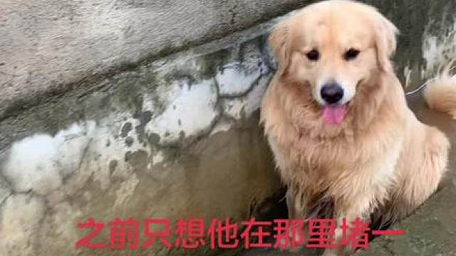 之前只困是他坐在那里堵一下水，冲一下路面泥巴