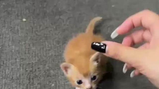 幸好我能碰到你