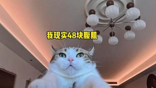《玉米棒子成精》