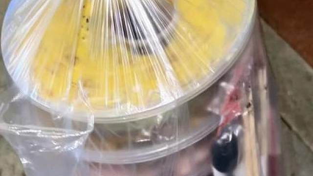 日照外卖极品五件套！！！谁说来日照只能看海，许你和我吃遍天下