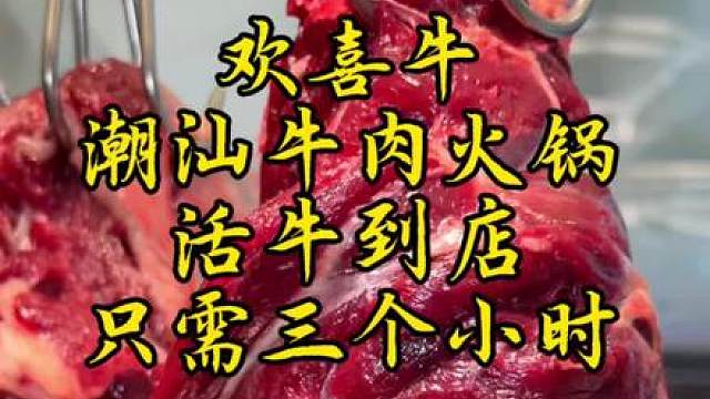 从活牛到餐桌只需三个小时的牛肉有多鲜！