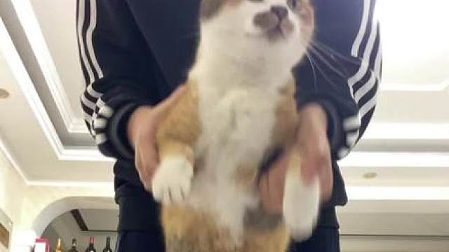 大新闻又爆炸了