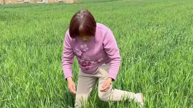 全网最有定位的小猫咪