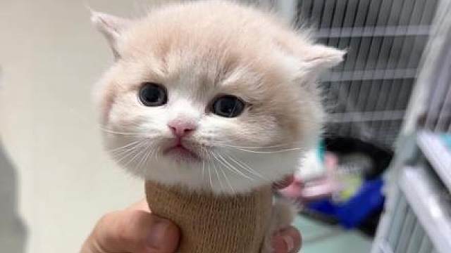 实在是忍不住