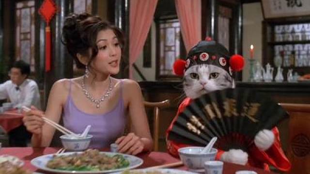 李哈哈小猫适合当媒婆
