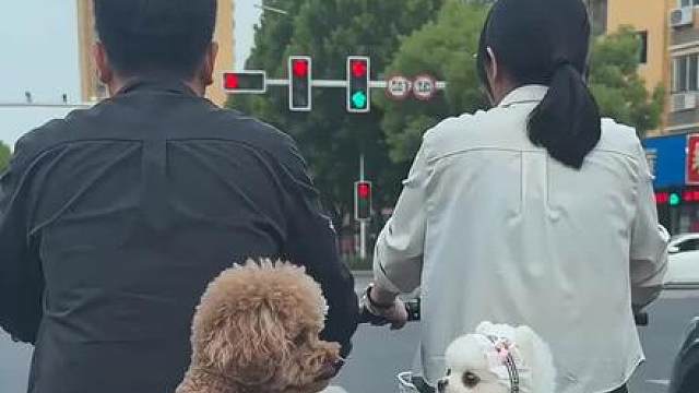 打扰了 哈哈哈哈