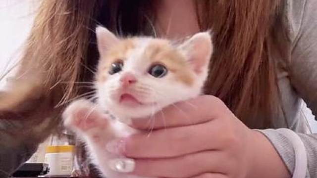 哈哈哈哈哈哈哈哈哈哈哈给哈哈哈