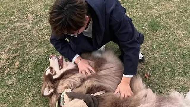恶语伤汪心
