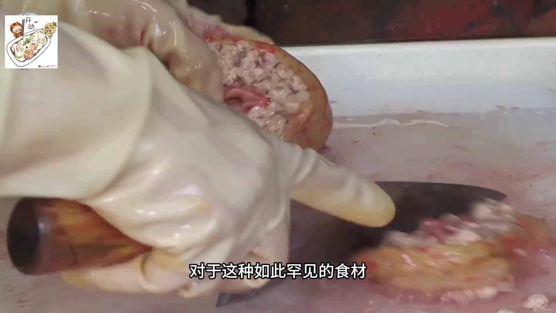 吃一个就能让你这辈子白干的太岁你敢吃吗？