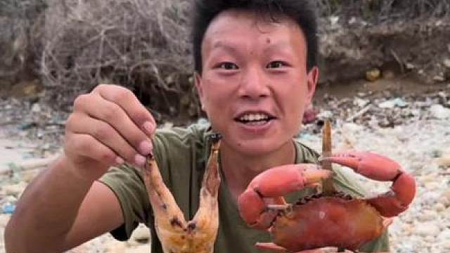 陷阱抓到了猎物！今天这运气还不错！