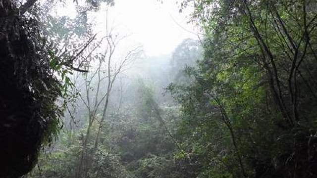 汗蒸驱寒补山药 野外生存烧石头地热驱除寒气，查看鱼篓挖山药