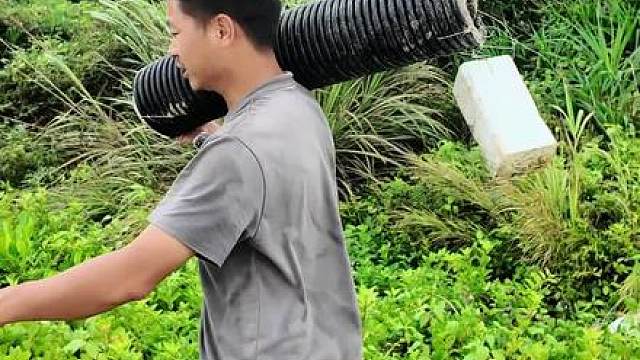 这个小伙在海岛求生，做起了沙蟹陷阱和鳗鱼篓，还完善了庇护所地板，快来看看发生了什么吧