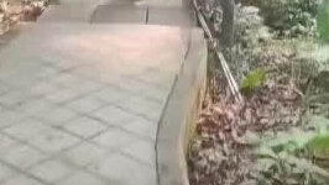 猴哥你变了