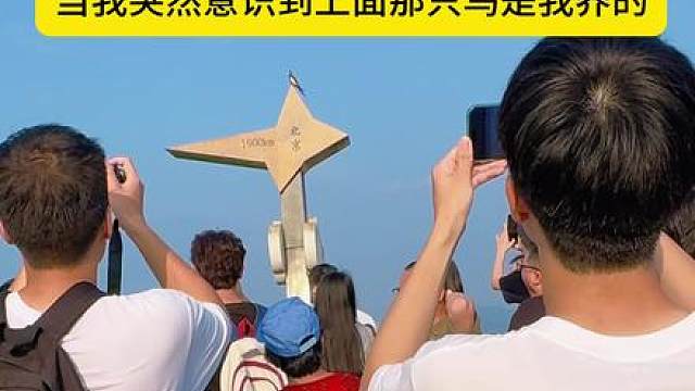 内向社恐