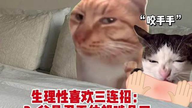 一个事实：对生理性喜欢的人你会表现得越来越粘人