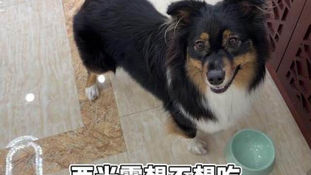 一题两解
