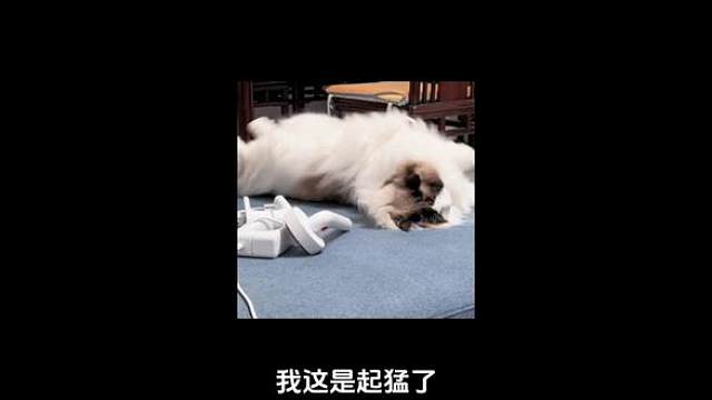 我发布了一个新视频，快来围观吧！