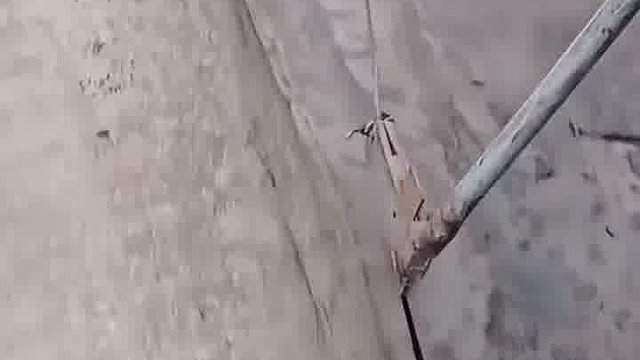 可真是个大聪明！