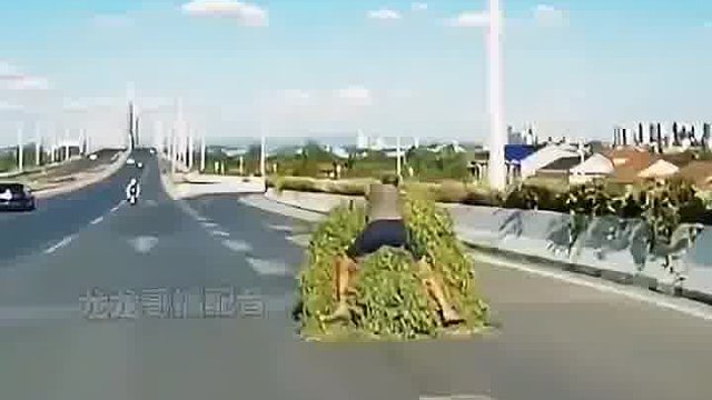 离远了看还以为是飞毯呢