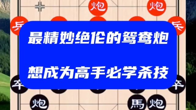 最精妙绝伦的鸳鸯炮，想成为高手必学杀技