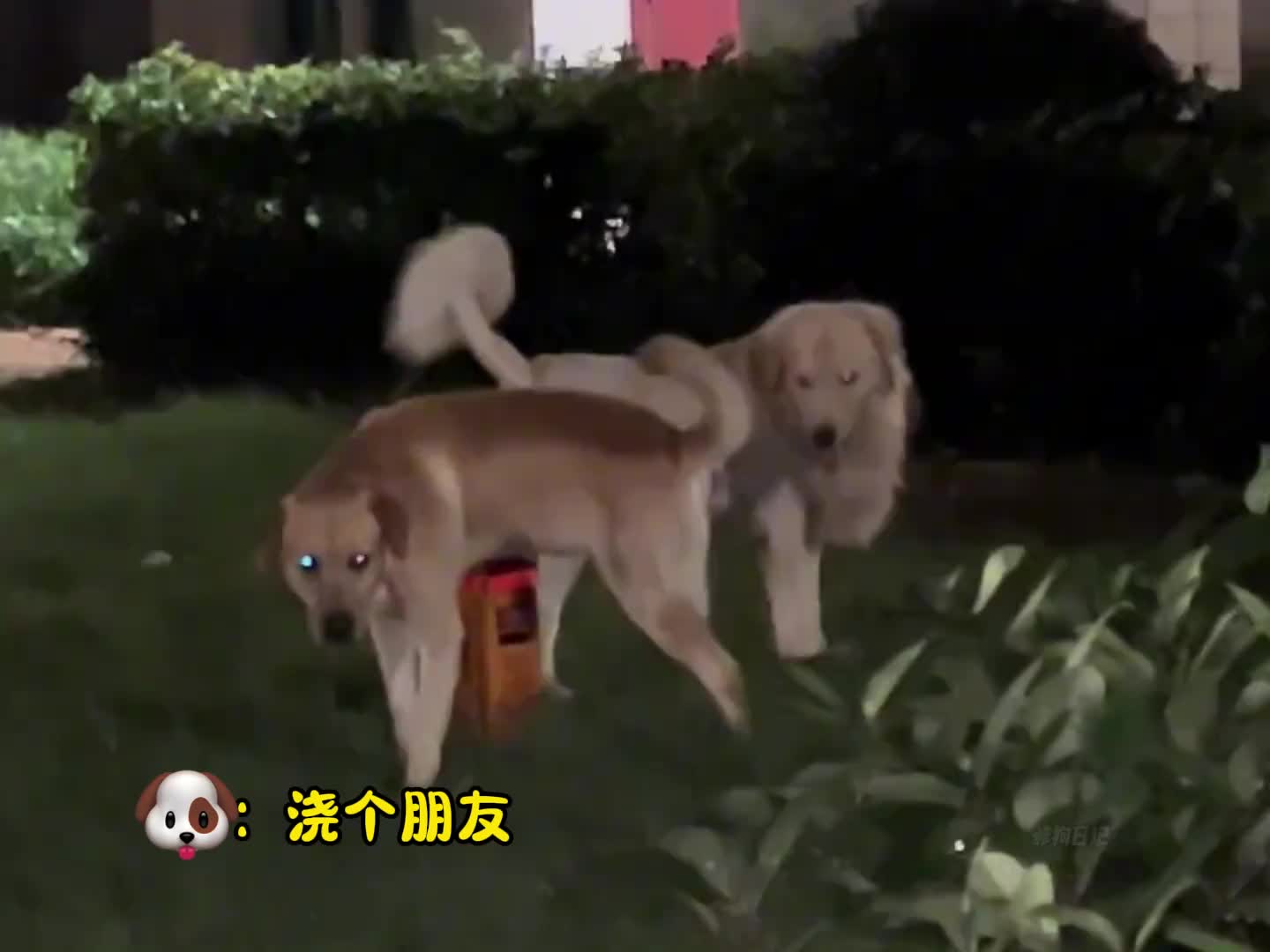 兄弟和你心连心，你跟兄弟动脑筋~