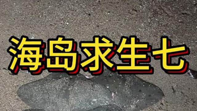 这个小伙在海岛上求生，晚上赶海抓了这么多的螃蟹，还遇到了这么多的魔鬼鱼，快来看看发生了什么吧